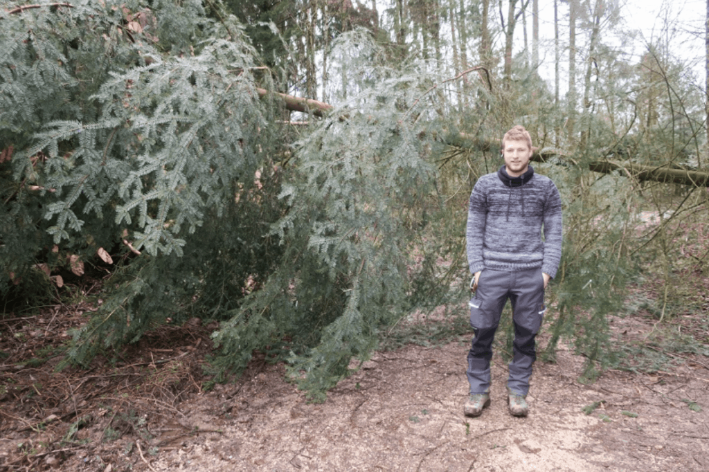 Baum mit dem Forstwart