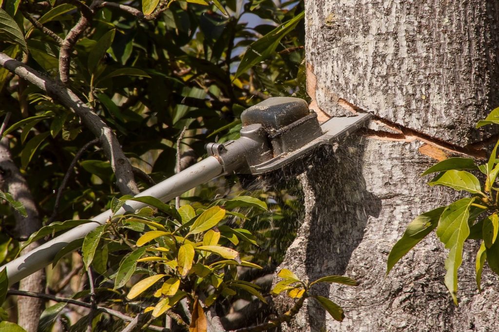 Baumsäge im Einsatz