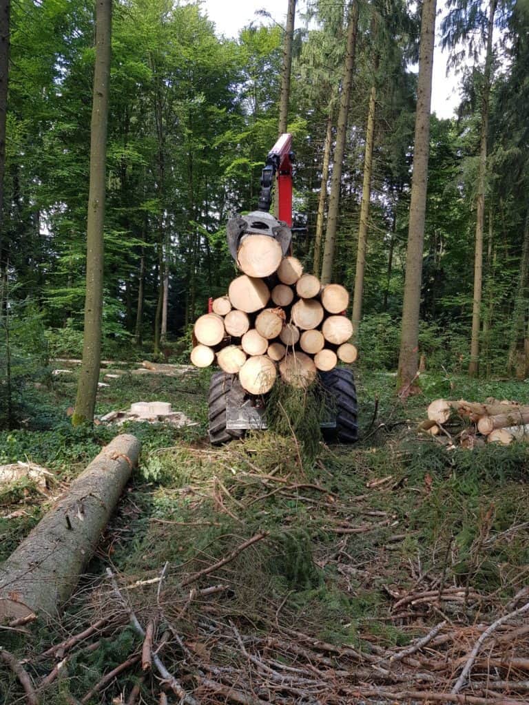 Wald mit Spezialmaschine